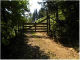 Tirosek (Nova Štifta) - Planina Travnik